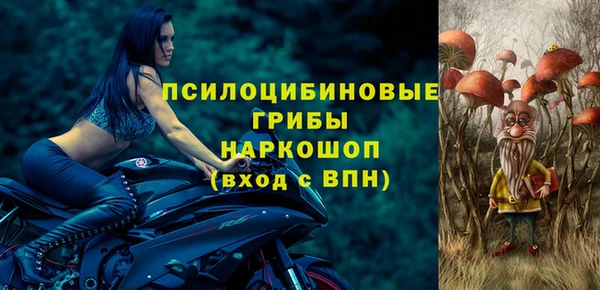 винт Осинники