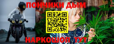 прущие крисы Будённовск