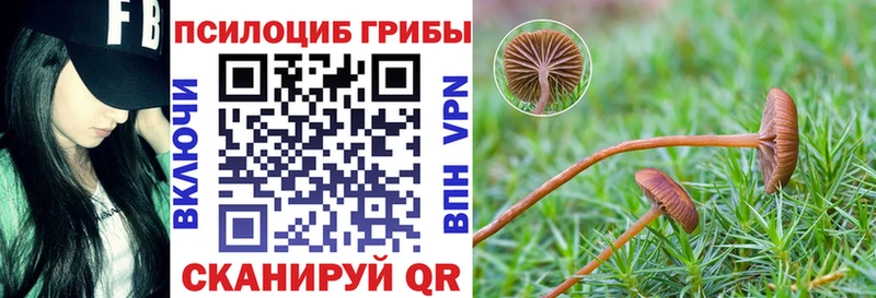 купить закладку  Кореновск  Псилоцибиновые грибы ЛСД 