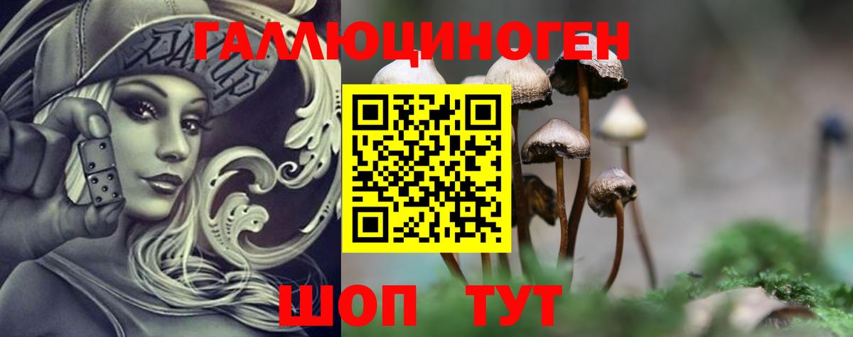 Галлюциногенные грибы ЛСД  Псилоцибиновые грибы мухоморы  где купить наркоту  Кореновск 