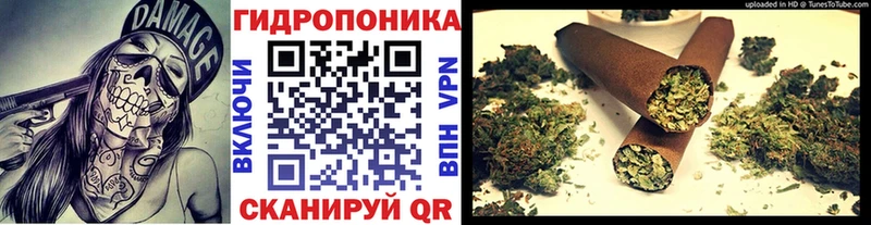 Шишки марихуана планчик где купить наркоту Кореновск