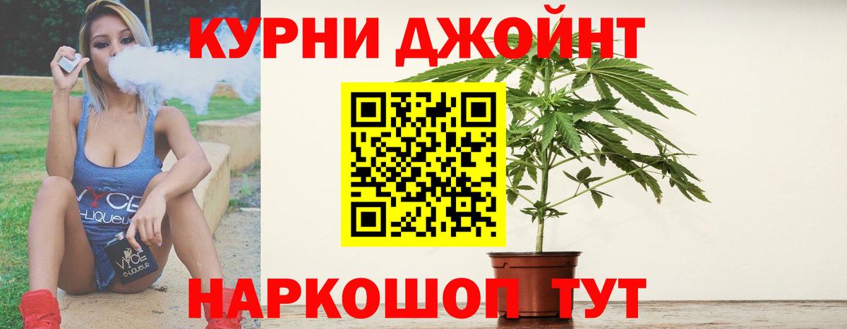 Канабис сатива  Марихуана гибрид  Кореновск  Каннабис Amnesia 